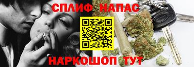МДПВ Гагарин