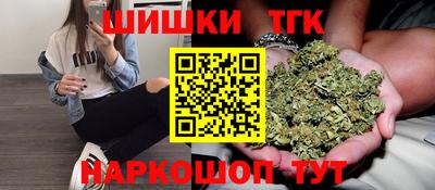МДПВ Гагарин